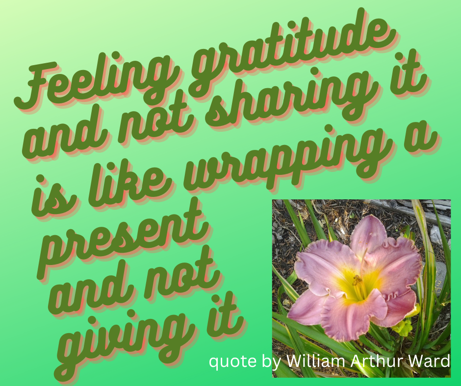 Feeling gratitude and not sharing it is like warpping a present and not giving it.
